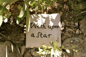Wish upon star