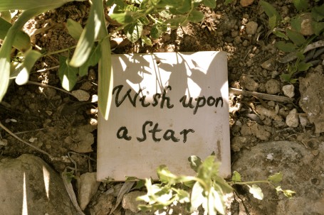 Wish upon star