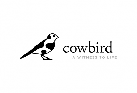 Cowbird, el lugar donde compartir las historias de “Follow your own star”