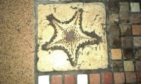 La estrella de Rodrigo