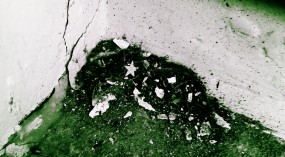 Estrellados en la basura