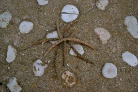 Si no encuentras tu estrella, siempre puedes hacerte una