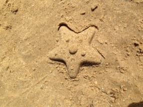 Star at the beach
