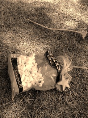 A star keeping my snacks