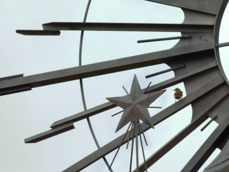 #Let it shine 5 – La creatividad inesperada, recursos a pie de página