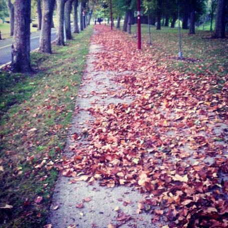 En qué se parecen el amor, el talento y los hombres que aspiran el otoño