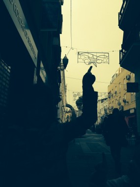 matilda´s quest. Stars on the christmas light