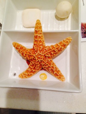 Sea Star on a box