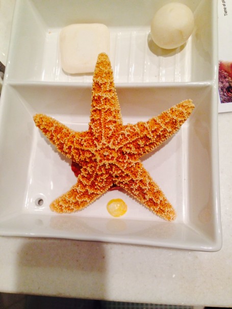 Sea Star on a box