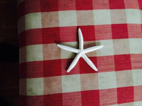 Star on a cushion