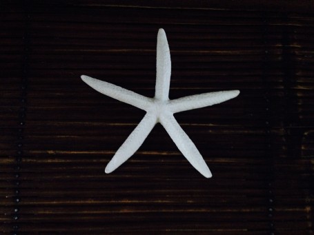 Star on a wooden table