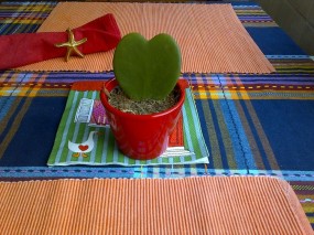 Matilda´s quest. Star on a decoration